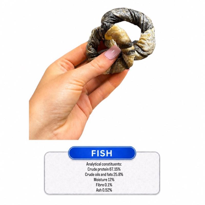 Fish Donut