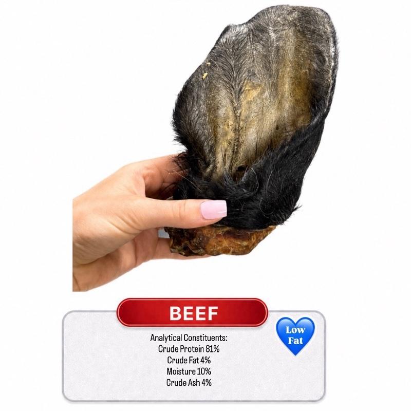 Beef Cow Ear Hair