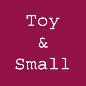 Toy & Small