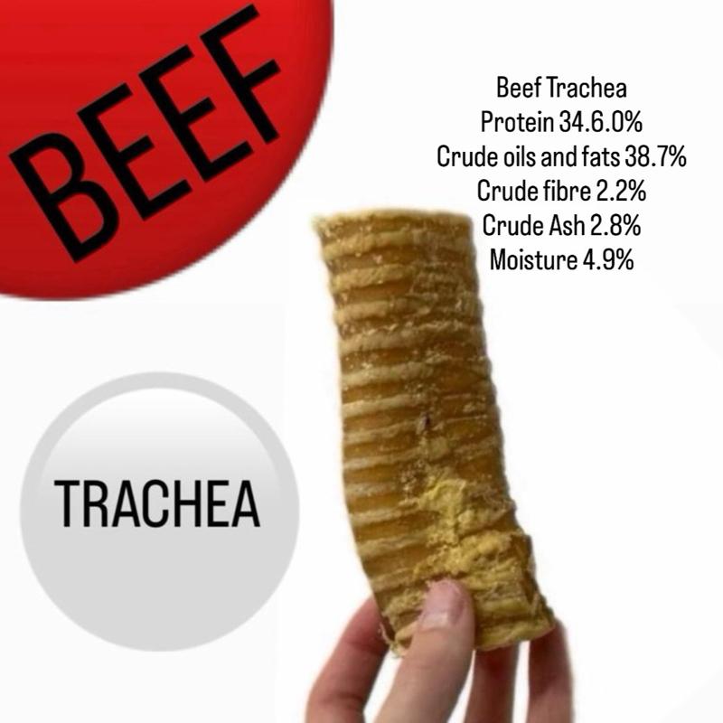 beef trachea 12cm