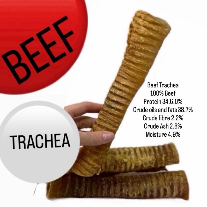 beef trachea 24cm