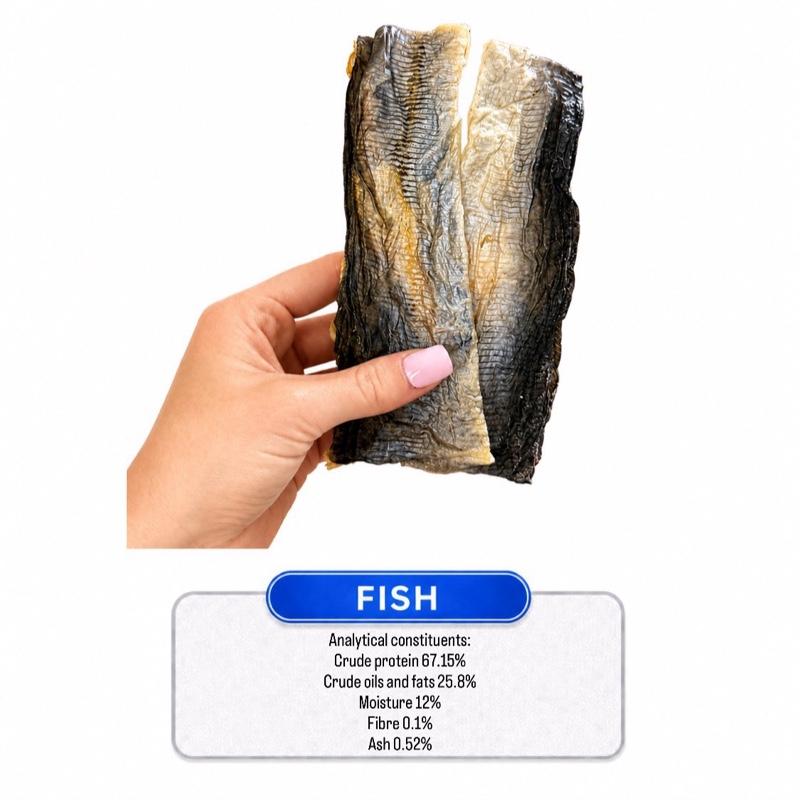 Fish Flattie