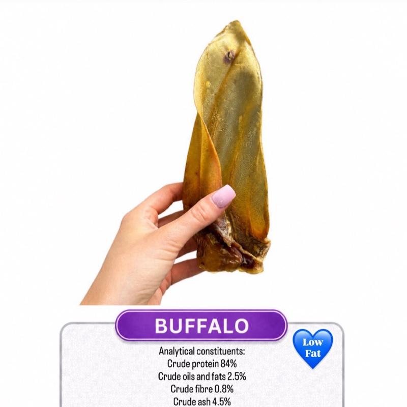 Buffalo Ear Hairless