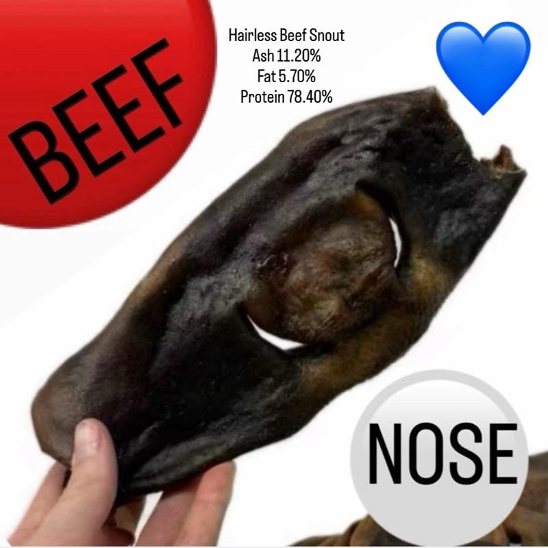 hairless beef snout