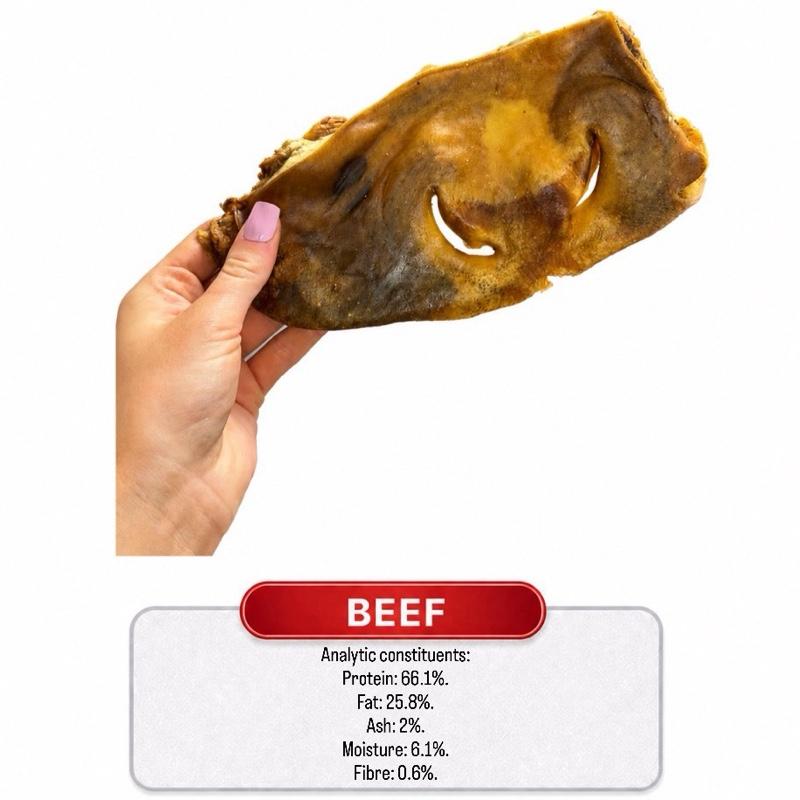 Beef Snout Hairless