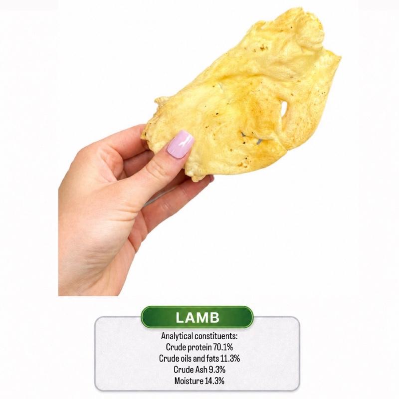 Lamb Snout Hairless