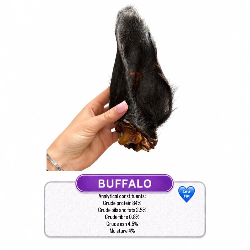 Buffalo Ear Hairy