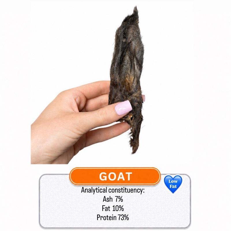 Goat Ear Hairy