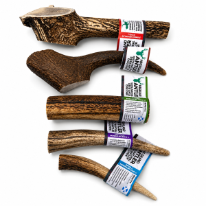 Antler
