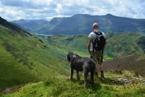 50674107_714334738960770_8938819445493596160_n-1