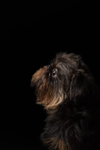 IMG_7126