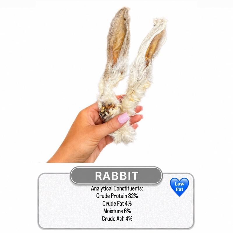 Rabbit Ear 1pc
